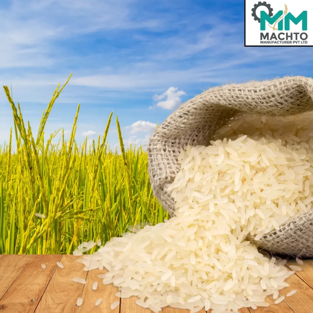 Top 10 Rice Mill Machinery Manufacturers in India