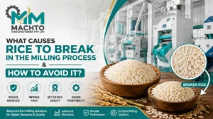 Read more about the article What Causes Rice to Break in the Milling Process & How to Avoid It?