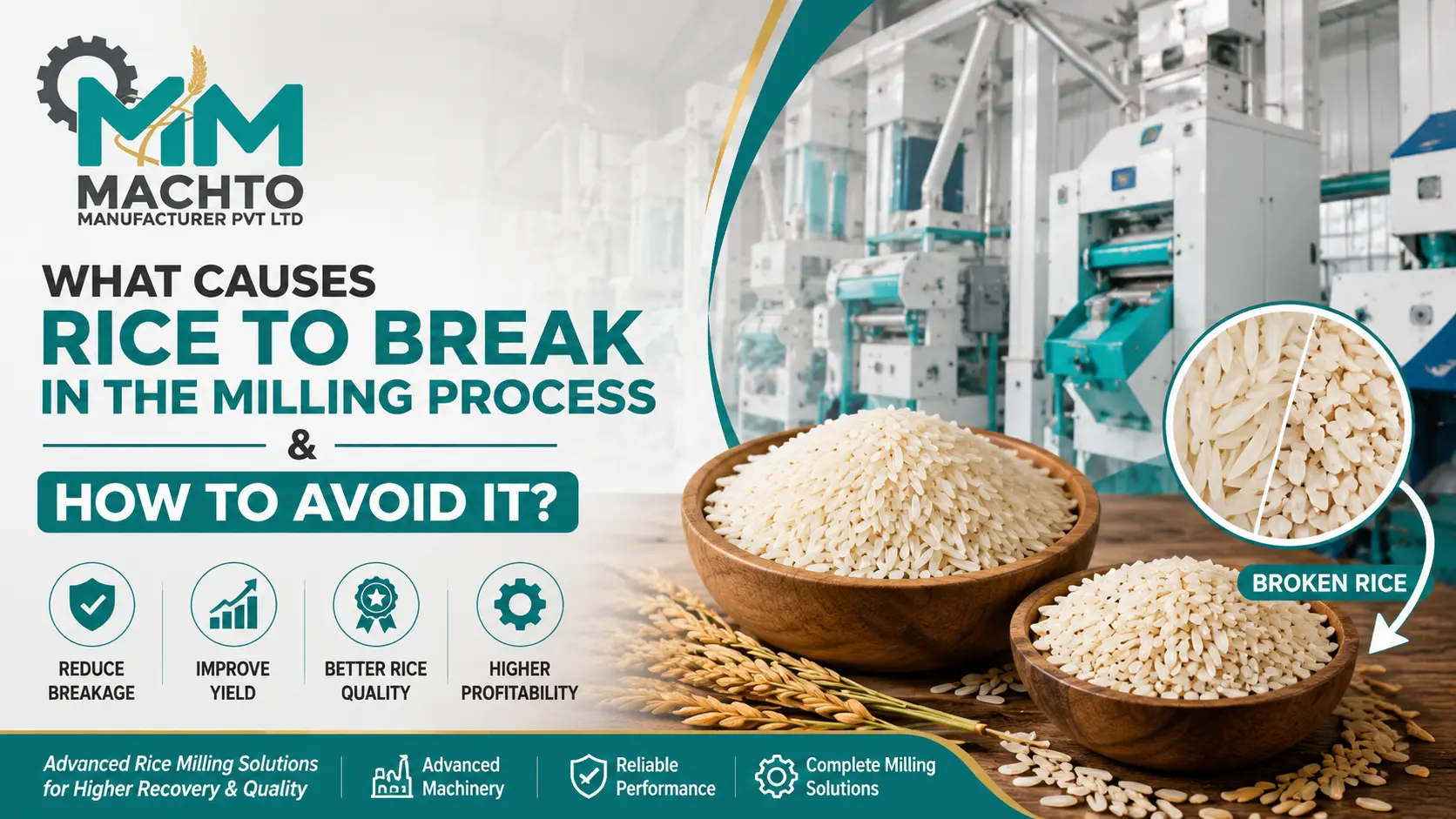 You are currently viewing What Causes Rice to Break in the Milling Process & How to Avoid It?