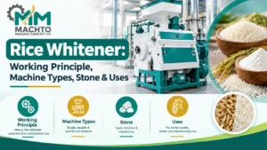 Read more about the article Rice Whitener: Working Principle, Machine Types, Stone & Uses